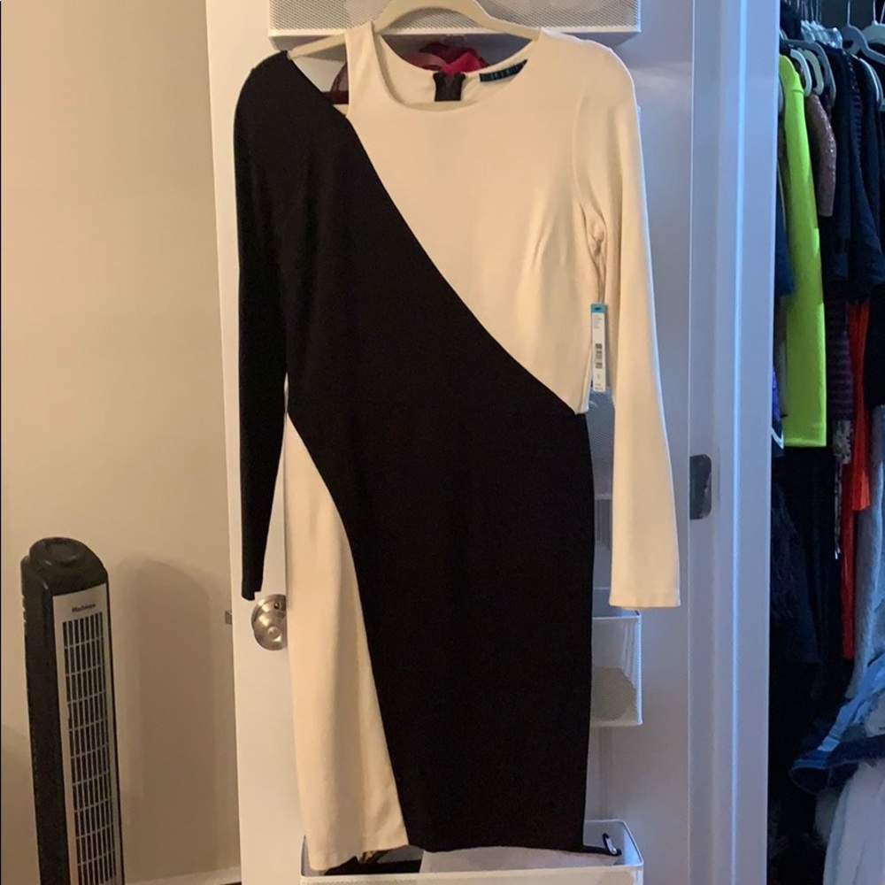 Alice and Olivia Dress